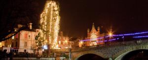 The tree of Light by Workman Bridge